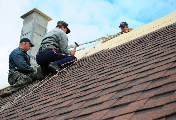 Best Storm Damage Roof Repair  in Watergate, FL